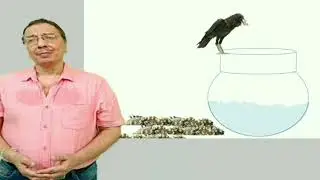 Learn English with story|Thirsty crow story