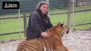 Dediacato agli animalisti ed ignoranti - Gianni Mattiolo tiger experience