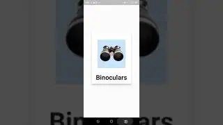 #flutter