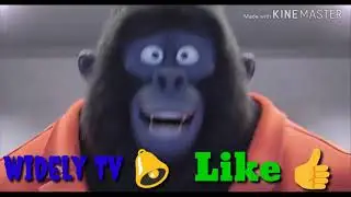 Janob Rasul  Nahotki 2019 (Жаноб Расул нахотки)