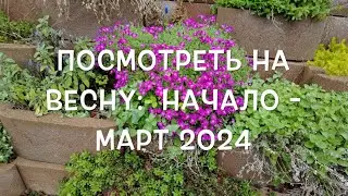 Посмотреть на весну: Начало   2024