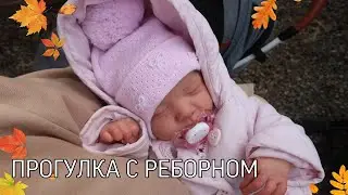 Влог : Прогулка с реборном в коляске, Our day with the reborn