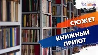 Книжный приют. Сюжет Ивана Чичигина.