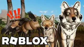 Play as a Coyote and Wolf in Sonora on Roblox 🐺
