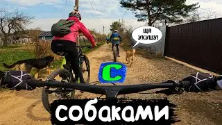 Bike Ride with Dogs: A Lightweight Ride with Friends /07.05.2022/