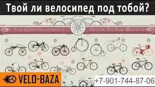 How to avoid mistakes when choosing the best bike. Basic recommendations and common mistakes.