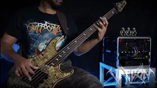 Vaegon- The Righteous Bass Playthrough (Technical Death Metal) Dingwall Z3
