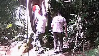 Guys Attacking Art Installation in Rain Forest