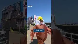 Отпугивают ЧАЕК в костюме ОРЛА