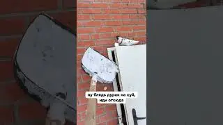 Пернатый жёстко прессанул Серёгу