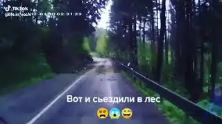 Деревья упали на дорогу