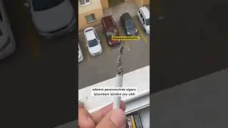 Sigaranın içinden yay çıktı!
