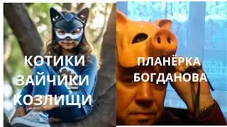 КОЗЛИКИ И КВАДРОБЕРЫ #радость  #любопытство