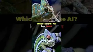 Nobody can Pass this TEST 