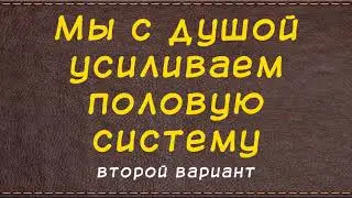 Мы с душой усиливаем половую систему - 2 вариант - мужское здоровье