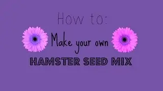 How to make a hamster seed mix!