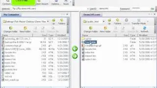 FTP - Managing files in WS_FTP