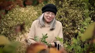 Ana Ester Vega - Arvejitas partidas