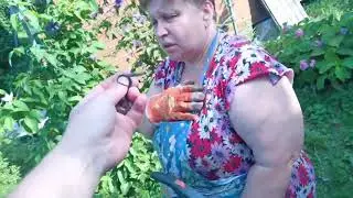 Чищу дачу от мелких змеёнышей
