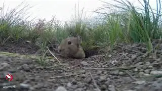 Осенние хлопоты