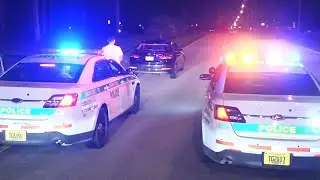 Caught On Dash Camera - DUI Suspect Crashes Into Light Pole, Flees Scene, Gets Arrested By MDPD