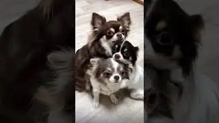 Friends is cute