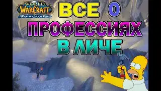 Всё о профессиях в wrath of the lich king classic.