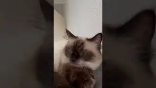 Time to clean