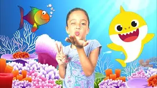 Angeliz Baby Shark Song