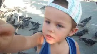кормим голубей и немножко рисуем