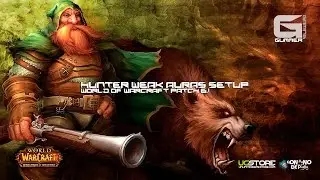 Hunter Weak Auras Setup - Patch 6.1 (all specs)
