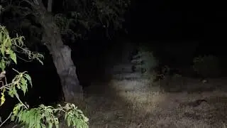 UN DUENDE NOS SIGUIÓ TODO EL TIEMPO