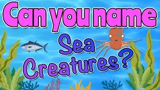 SEA CREATURES FOR KIDS 🐬🦑🐠🐳 Miss Ellis 