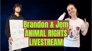 The Ups and Downs of Vegan Activism! Livestream with @jemlettuce