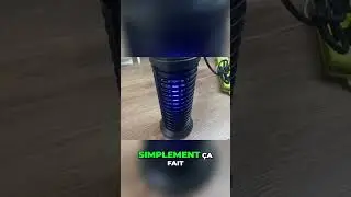 Découvrez la lampe UV anti-insectes à lumière violette !