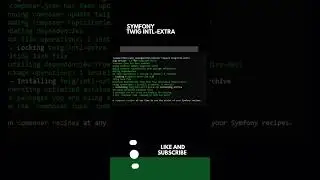 Symfony Command twig/intl Extra 