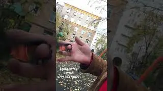 Чётки Рим