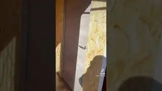 Побутівка «Мілітарі» 6*2.4м