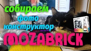 Как мы с котом MOZABRICK собирали 🧩