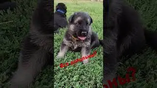 хорошо, когда всё хорошо ☝😉