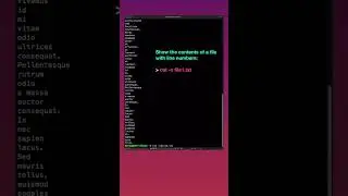 View files with cat | Linux for beginners 