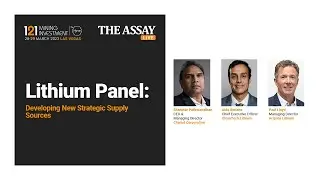 Lithium Panel: Developing New Strategic Supply Sources