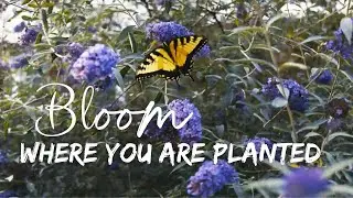 Sustainable Living: Bloom Where You Are Planted at Benevolence Farm