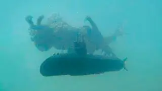 Diver Captures What No One Was Supposed to See