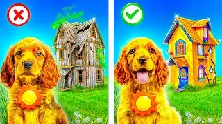 We Build a Tiny House for Dog! Miss Circle vs Miss Delight! Paper Education vs Poppy Playtime