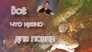 Ловля налима осенью. Всё что нужно знать о налиме. На что ловить налима в ноябре. 
