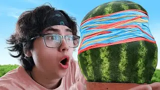 Sandia vs 1000 Elásticos