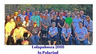 Lolapalooza 2018 In Polaroid