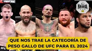 COMENTARIOS DE LA CATEGORIA DE PESO GALLO DE UFC PARA EL 2024