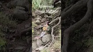 Добро пожаловать на канал Птицы Мудрой